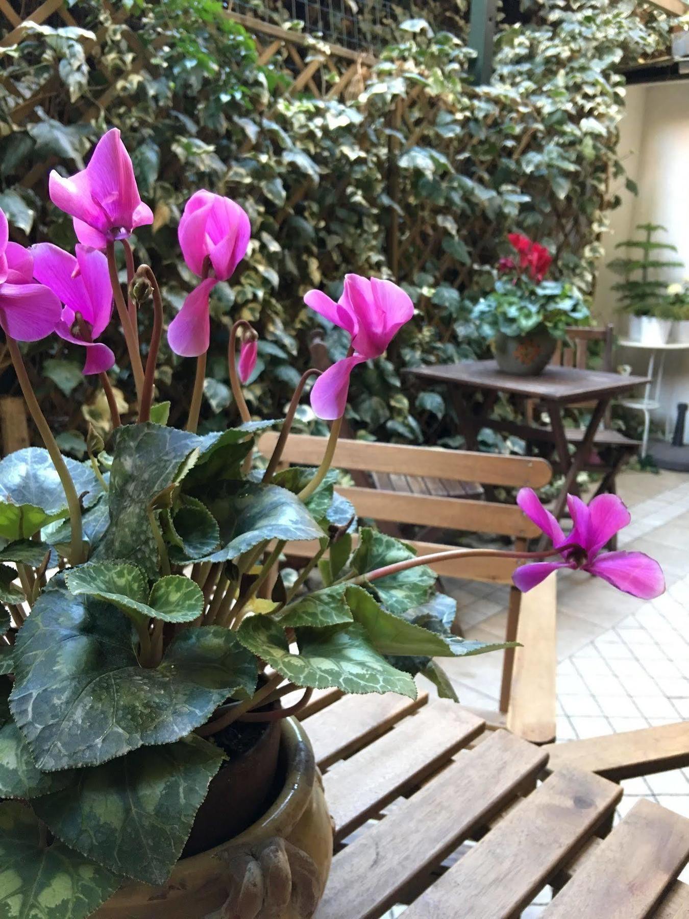 St. John Rome B&B Dış mekan fotoğraf