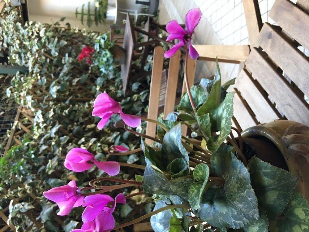 St. John Rome B&B Dış mekan fotoğraf